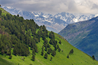 Similar image 22317136