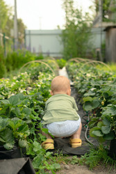 Similar image 22292507