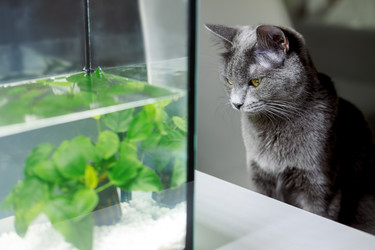 Similar image 22316508