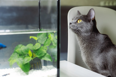 Similar image 22316509