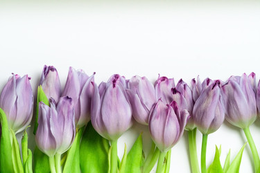 Similar image 22292515