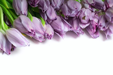 Similar image 22292516