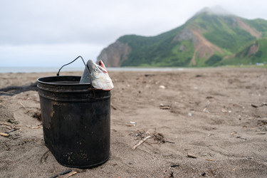 Similar image 22292519