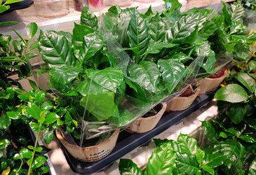 Similar image 22300953