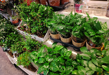 Similar image 22300954