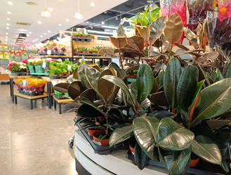 Similar image 22300955