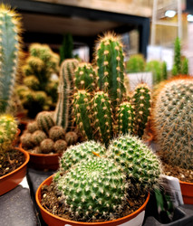 Similar image 22300957