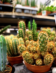 Similar image 22294073