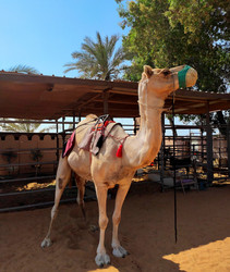 Similar image 22298120