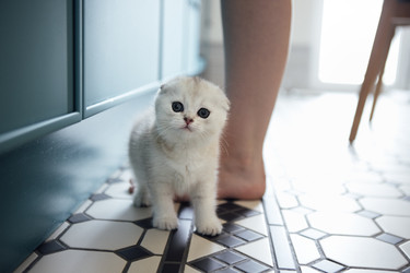 Similar image 22289909