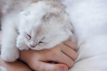 Similar image 22289910