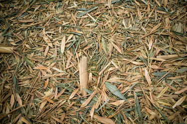 Similar image 22289920