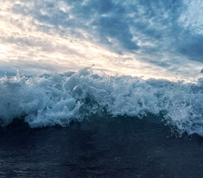 Similar image 22289923