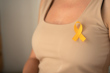 Similar image 22292531