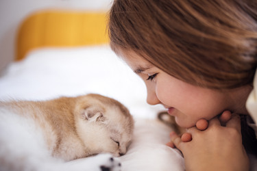 Similar image 22289937