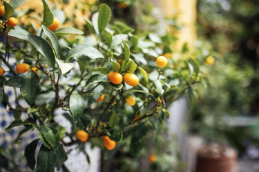 Similar image 22289948