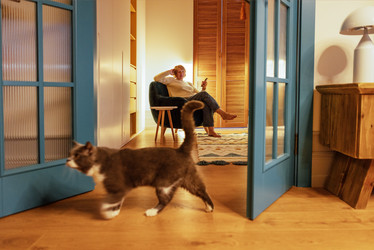 Similar image 22289966