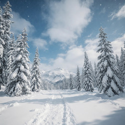 Similar image 22290865