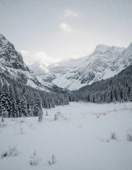 Similar image 22300930