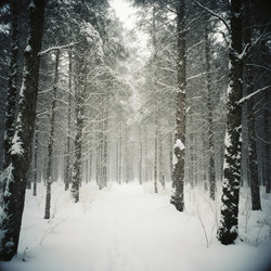 Similar image 22310133