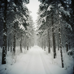 Similar image 22310134