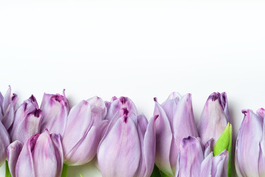 Similar image 22292532