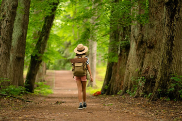 Similar image 22292539