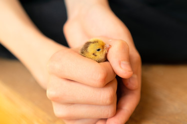 Similar image 22292540