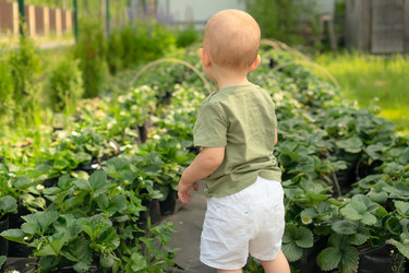 Similar image 22292542