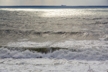 Similar image 22295569