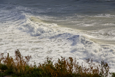 Similar image 22295184