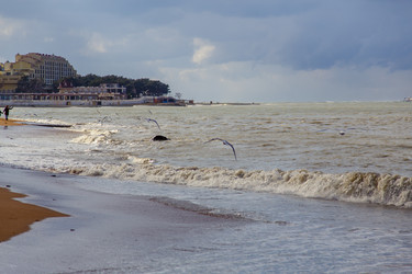 Similar image 22295195