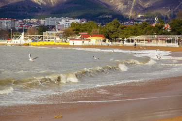 Similar image 22295198