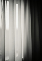 Similar image 22317596