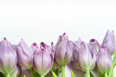 Similar image 22292554