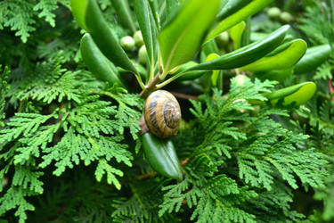 Similar image 22315853