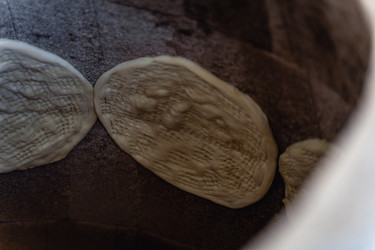 Similar image 22295406