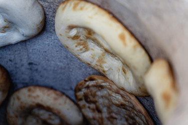 Similar image 22295429