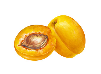 Similar image 22302153