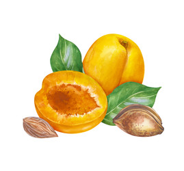 Similar image 22302154