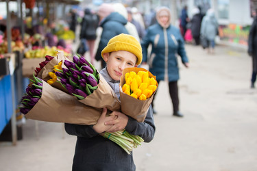 Similar image 22317017