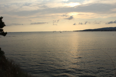 Similar image 22291779