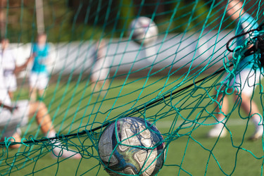 Similar image 22317024