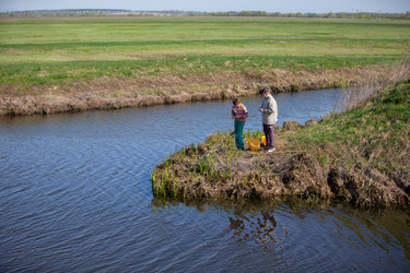 Similar image 22317031