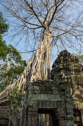 Similar image 22299182