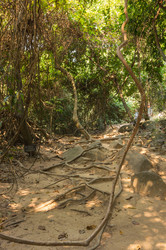 Similar image 22299187