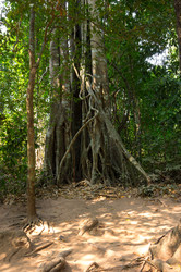 Similar image 22299188