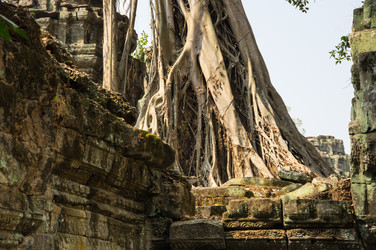 Similar image 22299205