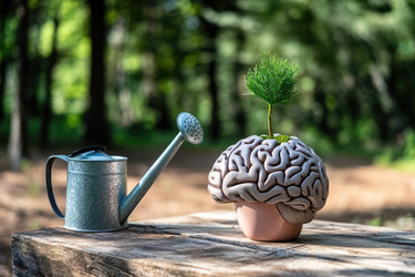 Similar image 22296958