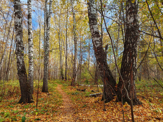 Similar image 22315855